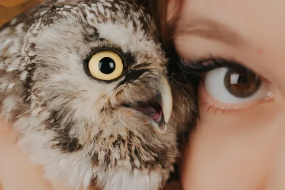 Casino B Bets Ënnerstëtzung